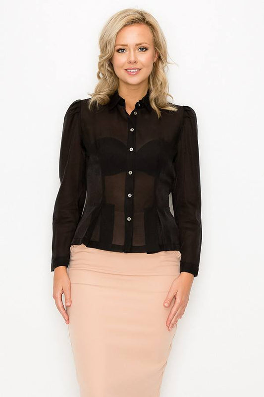 See through Pleated Long Sleeve Blouse